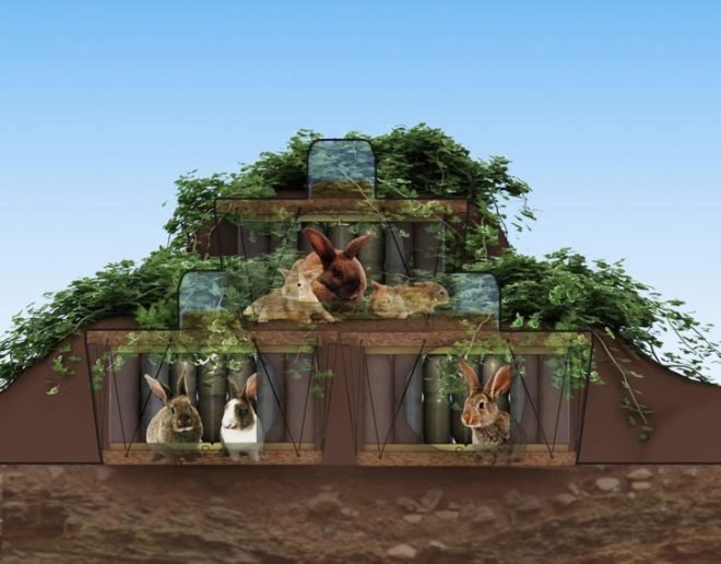PET house, PET, PET bottles, water bottles, Dr. Hakan Gürsu