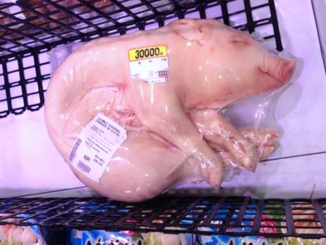 food, pig, suckling pig, modern agriculture, agriculture, vegan, vegetarian, sustainable food, animals, animal husbandry, supermarket