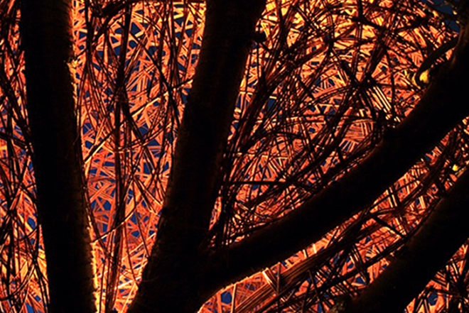 Tom Hare, willow treehouse, Cherry Tree House, human nest, spherical Tree House, biodegradable design