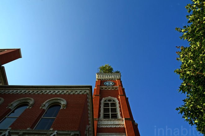 green roof, indiana, greensburg, tree in the tower, tree growing on the roof, greensburg courthouse tree, tower tree, rooftop tree, odd Americana, eco-travel, eco-tourism, tafline laylin