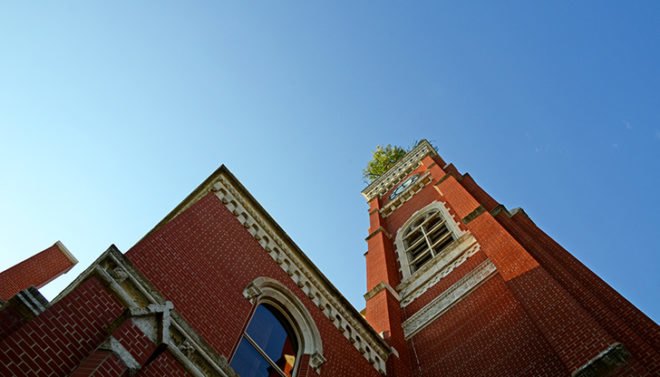 green roof, indiana, greensburg, tree in the tower, tree growing on the roof, greensburg courthouse tree, tower tree, rooftop tree, odd Americana, eco-travel, eco-tourism, tafline laylin