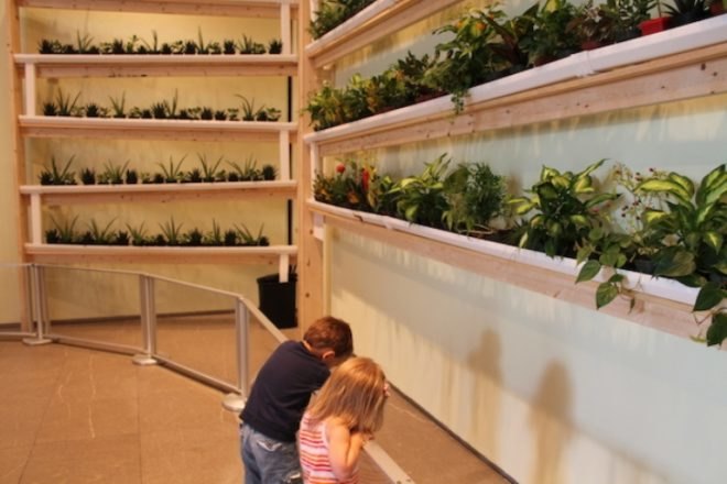 Green Wall, JCC Lobby, Avital Geva, The Greenhouse of Ein Shemer, vertical gardens, alternative farming, NYC green walls, NYC vertical gardens, shmita, Megan Whitman, green walls, hydroponic gardening