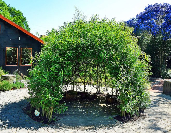 DIY playhouse, DIY den, DIY teepee, Willow den, Bean teepee, Bean playhouse, Beanpole getaway, beanpole playhouse, beanpole teepee, willow playhouse, growing playhouses, green playhouses, eco playhouse, green teepee, growing teepee, eco teepee, eco play, Grow a playhouse, grow a den, grow a teepee