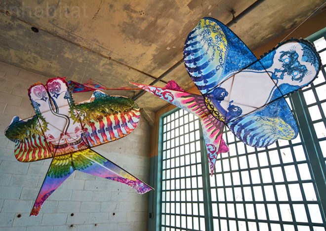 ai weiwei, @large, alcatraz, with wind, san francisco, ai weiwei alcatraz, green design, politics, political art, green art, green design, sustainable design, alcatraz prison, kites, dragon kite, handmade kite, green materials, freedom, freedom of expression