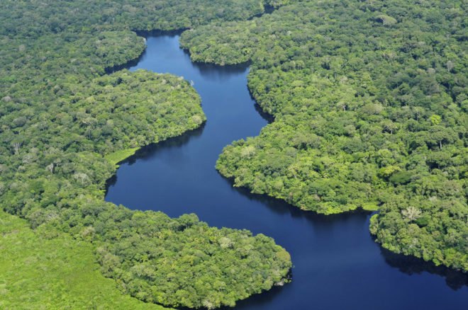 amazon, rainforest, brazil, germany, tall, tower, climate, change, global, warming, max, planck, carbon, dioxide, greenhouse, gasses