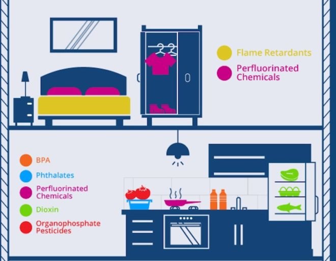 Body Logic MD, toxic chemicals, toxins, household toxins, infographic, chemicals in home,