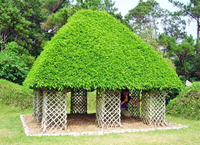DIY playhouse, DIY den, DIY teepee, Willow den, Bean teepee, Bean playhouse, Beanpole getaway, beanpole playhouse, beanpole teepee, willow playhouse, growing playhouses, green playhouses, eco playhouse, green teepee, growing teepee, eco teepee, eco play, Grow a playhouse, grow a den, grow a teepee