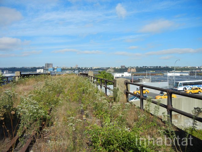 final section of high line complete, final section of natural high line section, eco design, Friends of the High Line Park, green design, high line, high line 3rd section, high line park, high line third section, open house new york, sustainable design, tour the high line, uniqlo, eco design, eco new york, eco nyc, green design, green new york, green NYC, green spaces, green spaces nyc, green walkways, green walkways nyc, high line, high line final section, high line news, high line park, high line third section, new york high line, nyc high line, sustainable design, sustainable new york, sustainable nyc, the high line,