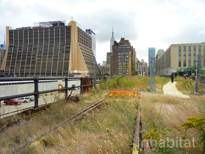 final section of high line complete, final section of natural high line section, eco design, Friends of the High Line Park, green design, high line, high line 3rd section, high line park, high line third section, open house new york, sustainable design, tour the high line, uniqlo, eco design, eco new york, eco nyc, green design, green new york, green NYC, green spaces, green spaces nyc, green walkways, green walkways nyc, high line, high line final section, high line news, high line park, high line third section, new york high line, nyc high line, sustainable design, sustainable new york, sustainable nyc, the high line,