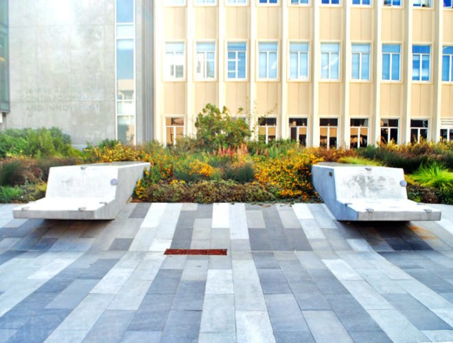 INTERSTICE Architects, University of San Francisco Center for Science, landscape architecture, green design, sustainable design, leed, native plants, stormwater, san francisco, interstice, landscape design, NBBJ, BKF, green roof, rainwater harvesting