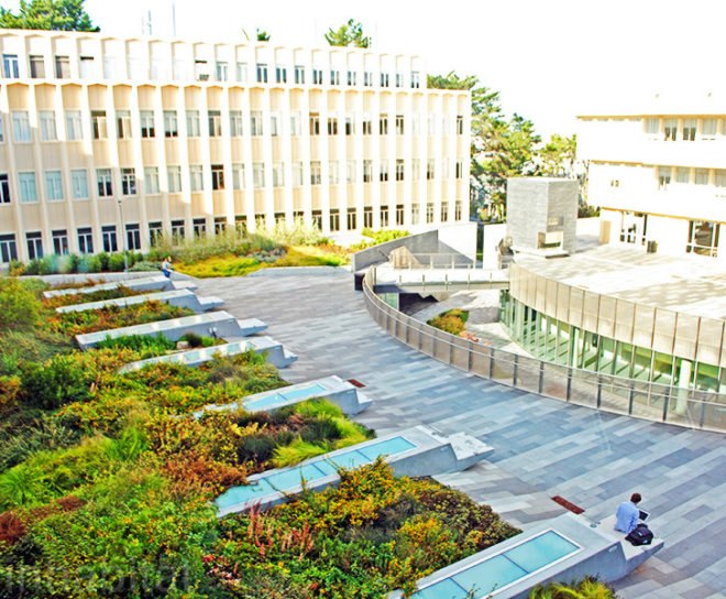 INTERSTICE Architects, University of San Francisco Center for Science, landscape architecture, green design, sustainable design, leed, native plants, stormwater, san francisco, interstice, landscape design, NBBJ, BKF, green roof, rainwater harvesting