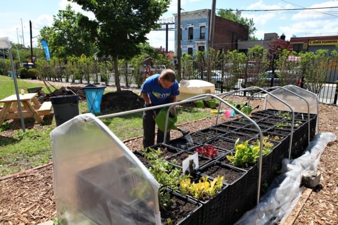 Make-A-Wish Foundation, nyrp, new york restoration project, bathgate garden, nyc volunteer opportunities