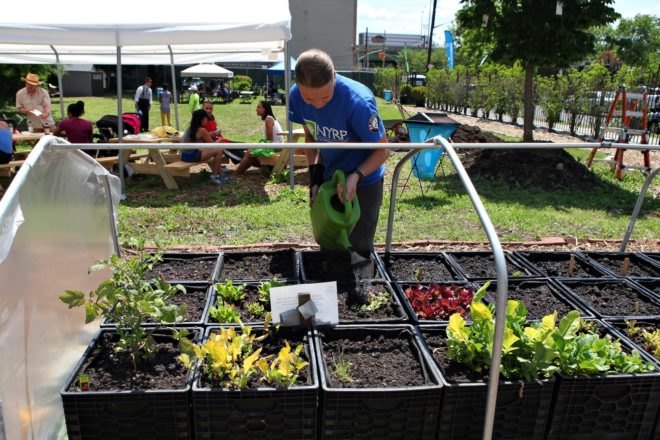 Make-A-Wish Foundation, nyrp, new york restoration project, bathgate garden, nyc volunteer opportunities