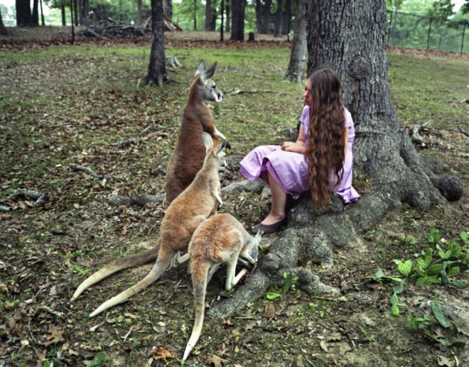 Robin Schwartz, Amelia and the Animals, Amelia Forman, animals photography, mother and daughter, amazing photos of animals, Kickstarter campaign, exotic animals, National Geographic photographer