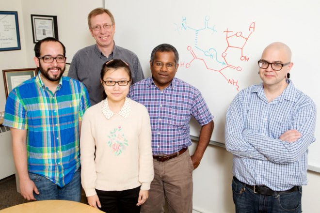 University of Illinois, antibiotics, antibiotic resistance, nisin, peptides, chemistry, biochemistry, superbugs, dehydratase, Satish K. Nair, Wilfred van der Donk