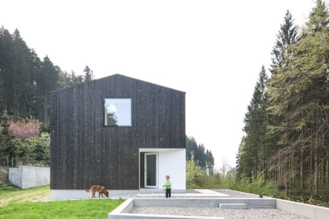 Stocker Dewes Architekten, green roof, horse stable, freiburg, germany, stable conversion, Black forest, minimalist, skylights, sustainable architecture, renovation, architecture renovation, german architecture