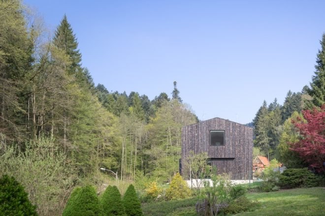 Stocker Dewes Architekten, green roof, horse stable, freiburg, germany, stable conversion, Black forest, minimalist, skylights, sustainable architecture, renovation, architecture renovation, german architecture