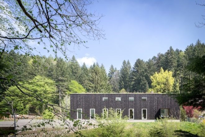 Stocker Dewes Architekten, green roof, horse stable, freiburg, germany, stable conversion, Black forest, minimalist, skylights, sustainable architecture, renovation, architecture renovation, german architecture