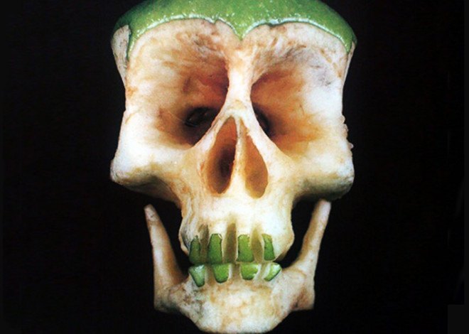 fruit skulls, eco art, Dimitri Tsykalov, recycled materials, gardening, fruit carving, skulls