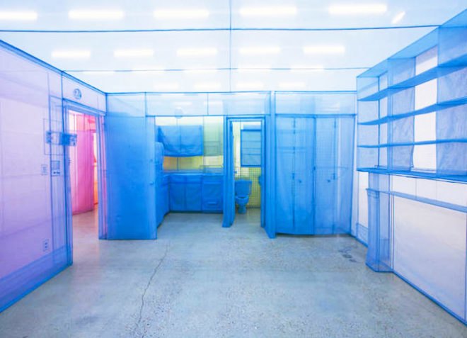 artist Do Ho Suh, Home Series, Korean artist Do Ho Suh, Contemporary Austin, art exhibition, Specimen Series, NYC art, Net-Work exhibition, NYC art gallery