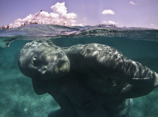 Jason deCaires Taylor, Ocean Atlas, underwater sculpture, art, bahamas art, B.R.E.E.F, Bahamas Reef Environment Educational Foundation, ocean life, ocean initiatives, underwater sculpture garden, Sir Nicholas Nuttall, stressed natural reef, ocean reefs, coral reef protection