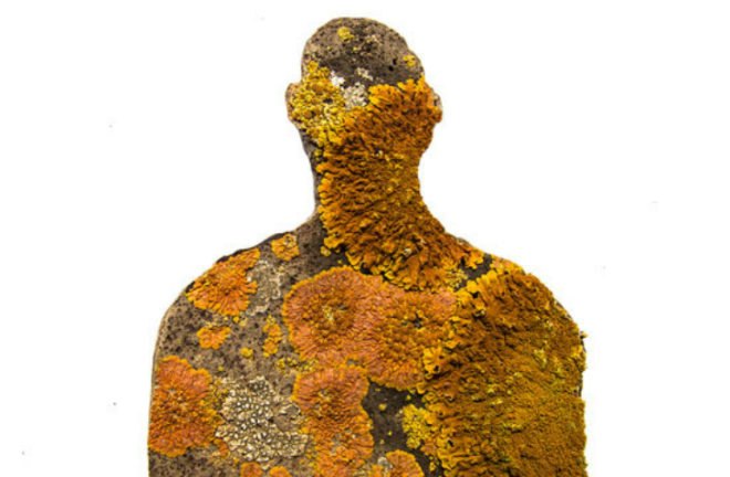 Jason deCaires Taylor, Ocean Atlas, underwater sculpture, art, bahamas art, B.R.E.E.F, Bahamas Reef Environment Educational Foundation, ocean life, ocean initiatives, underwater sculpture garden, Sir Nicholas Nuttall, stressed natural reef, ocean reefs, coral reef protection