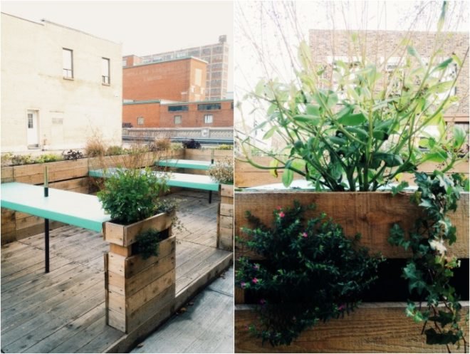 foraging, manitoba restaurant, green design, sustainable design, eco design, wild ingredients, renovation, recycled materials, recycled furniture, montreal, quebec, canada