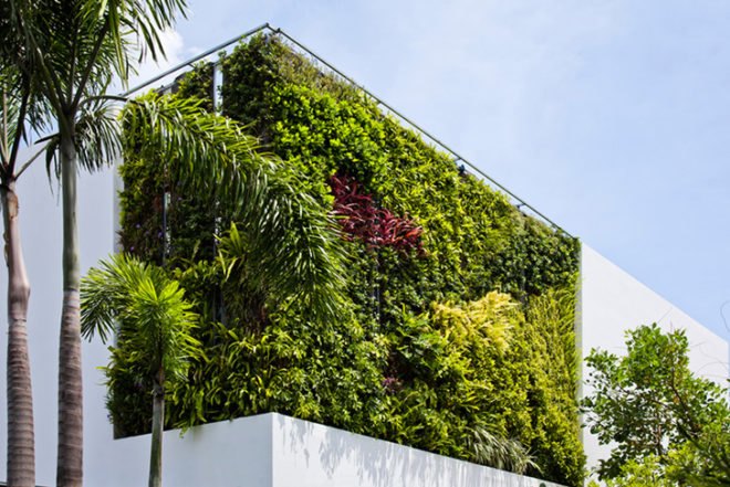 MM++ architects, home renovation, Thao dien House, green living walls, open plan layout, minimalistic living, Ho Chi Minh City, Vietnam