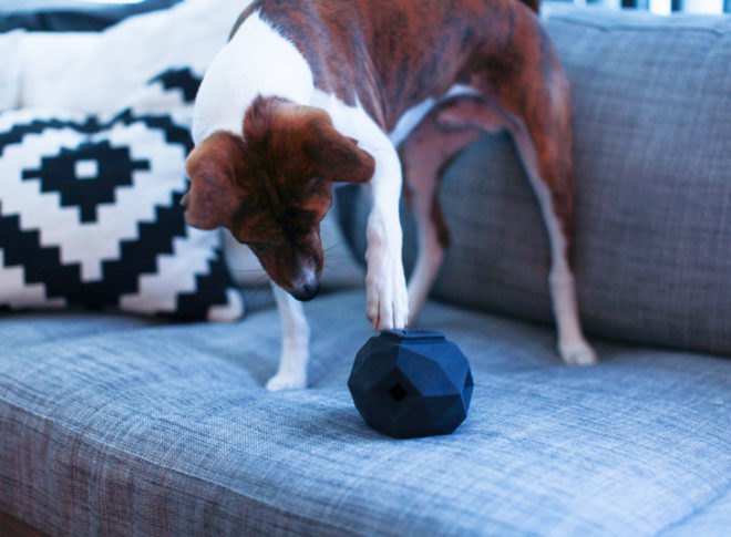 The Odin, Odin, dog toy, toy, dog toys, toys, puzzle toy, puzzle toys, puzzle dog toy, Odin puzzle, kickstarter, Kickstarter, dog toy kickstarter, eco-friendly dog toy