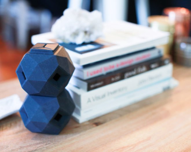 The Odin, Odin, dog toy, toy, dog toys, toys, puzzle toy, puzzle toys, puzzle dog toy, Odin puzzle, kickstarter, Kickstarter, dog toy kickstarter, eco-friendly dog toy