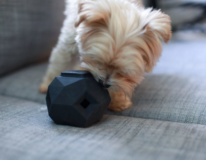 The Odin, Odin, dog toy, toy, dog toys, toys, puzzle toy, puzzle toys, puzzle dog toy, Odin puzzle, kickstarter, Kickstarter, dog toy kickstarter, eco-friendly dog toy