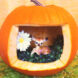 pumpkin, pumpkin carving, Halloween, jack-o'-lantern, contemporary pumpkin crafts, kids Halloween craft, craft, painting, glitter, washi tape, stickers,