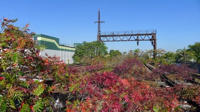 abandoned railways, Architecture and Engineering, Dead Industry, eco design, Floating Forest, Forest Hills, forest park, Friends of the QueensWay, Glendale, green project, green space, greenway, high line park, High School for Construction Trades, Kew Gardens, Landscape Architecture & Architecture, Life Finds a Way, LIRR, Long Island Rail Road, Metropolitan Expeditionary Learning School, nature, neighborhood, no way queensway, ozone park, Park, pedestrian walkway, Penn Station, Public School 233, Queens, queensway, Rego Park, richmond hill, Rockaway Beach, Song Deng, trust for Public Land, Woodhaven