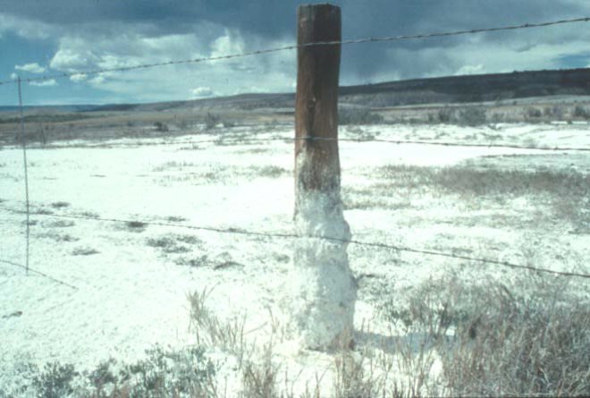 salt, salinity, agriculture, United Nations, report, study, United Nations University, economic impact of salinity, loss of farm land to salt, global development, water issues, irrigation, farming, farm land