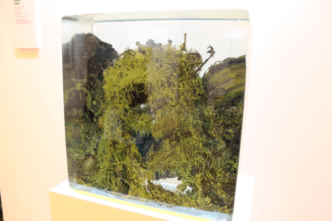 Grand Central Station, td forests, td bank, art for trees, trees nyc, million trees nyc, forest in a suitcase, miniature forest, Vanderbilt Hall, Kathleen Vance's, Gifford's Forest, Ivan Stojakovic, Philippa Lawrence, dustin yellin, elizabeth whalley, Federico Herrero