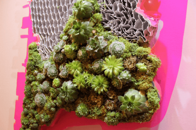 Grand Central Station, td forests, td bank, art for trees, trees nyc, million trees nyc, forest in a suitcase, miniature forest, Vanderbilt Hall, Kathleen Vance's, Gifford's Forest, Ivan Stojakovic, Philippa Lawrence, dustin yellin, elizabeth whalley, Federico Herrero