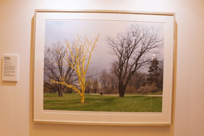 Grand Central Station, td forests, td bank, art for trees, trees nyc, million trees nyc, forest in a suitcase, miniature forest, Vanderbilt Hall, Kathleen Vance's, Gifford's Forest, Ivan Stojakovic, Philippa Lawrence, dustin yellin, elizabeth whalley, Federico Herrero