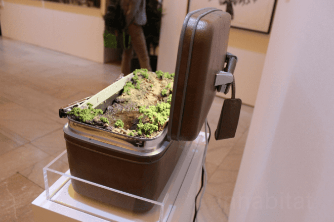 Grand Central Station, td forests, td bank, art for trees, trees nyc, million trees nyc, forest in a suitcase, miniature forest, Vanderbilt Hall, Kathleen Vance's, Gifford's Forest, Ivan Stojakovic, Philippa Lawrence, dustin yellin, elizabeth whalley, Federico Herrero