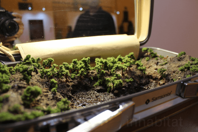 Grand Central Station, td forests, td bank, art for trees, trees nyc, million trees nyc, forest in a suitcase, miniature forest, Vanderbilt Hall, Kathleen Vance's, Gifford's Forest, Ivan Stojakovic, Philippa Lawrence, dustin yellin, elizabeth whalley, Federico Herrero
