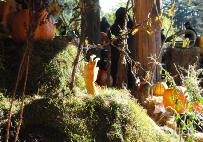 green design, eco design, sustainable design, Ray Villafane, carved pumpkins, New York Botanical Garden, Halloween, Bronx