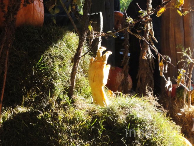 green design, eco design, sustainable design, Ray Villafane, carved pumpkins, New York Botanical Garden, Halloween, Bronx