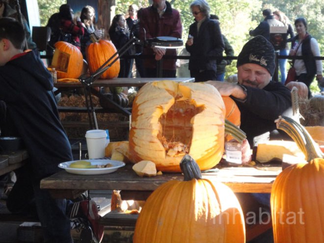 green design, eco design, sustainable design, Ray Villafane, carved pumpkins, New York Botanical Garden, Halloween, Bronx