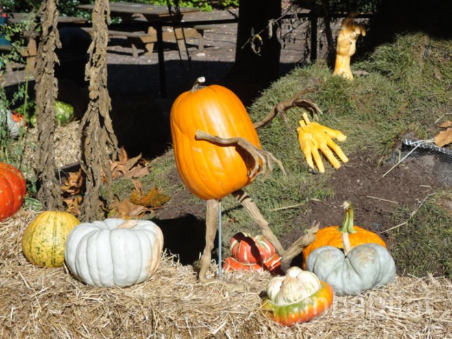 green design, eco design, sustainable design, Ray Villafane, carved pumpkins, New York Botanical Garden, Halloween, Bronx