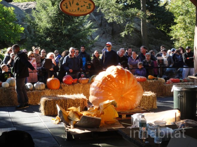 green design, eco design, sustainable design, Ray Villafane, carved pumpkins, New York Botanical Garden, Halloween, Bronx