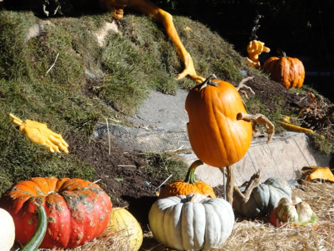 green design, eco design, sustainable design, Ray Villafane, carved pumpkins, New York Botanical Garden, Halloween, Bronx