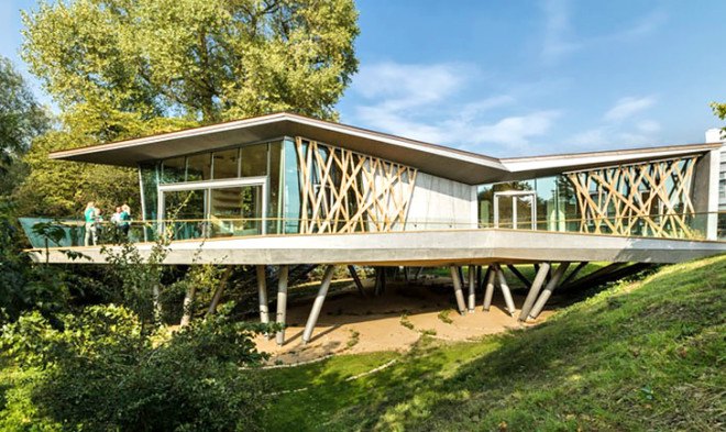 Wilkinson Eyre Architects, treehouse, Maggie's Centre, England, cancer patients, resort, natural materials, natural light, skylights, wooden facade, facade design