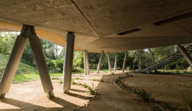 Wilkinson Eyre Architects, treehouse, Maggie's Centre, England, cancer patients, resort, natural materials, natural light, skylights, wooden facade, facade design