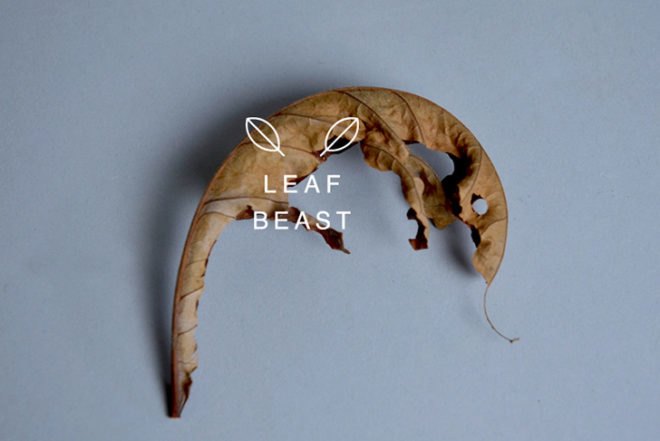Baku Maeda, leaves animals, Leaf Beast, autumn art, ephemeral art, Japanese craft,