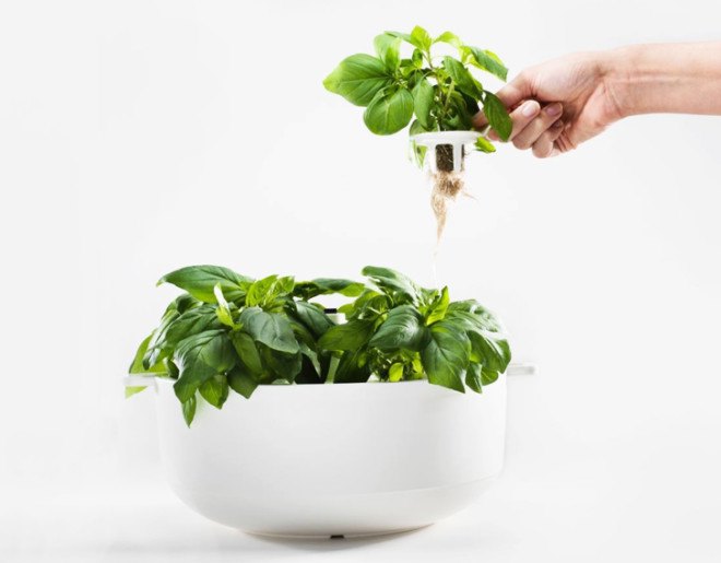 Plantui, plantui, Smart Garden, smart garden, hydroponic, hydroponics,