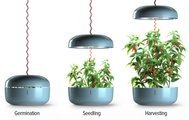 Plantui, plantui, Smart Garden, smart garden, hydroponic, hydroponics,